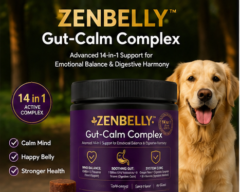 ZENBELLY Gut-Calm Complex para Perros – Probiótico y Masticables Suaves Calmantes con Soporte Intestino-Cerebro (60 Masticables)