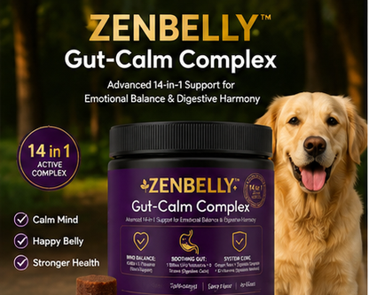 ZENBELLY Gut-Calm Complex para Perros – Probiótico y Masticables Suaves Calmantes con Soporte Intestino-Cerebro (60 Masticables)