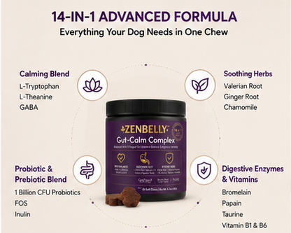 ZENBELLY Gut-Calm Complex para Perros – Probiótico y Masticables Suaves Calmantes con Soporte Intestino-Cerebro (60 Masticables)