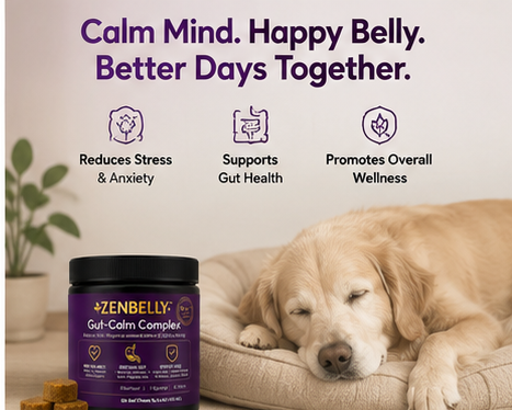 ZENBELLY Gut-Calm Complex para Perros – Probiótico y Masticables Suaves Calmantes con Soporte Intestino-Cerebro (60 Masticables)